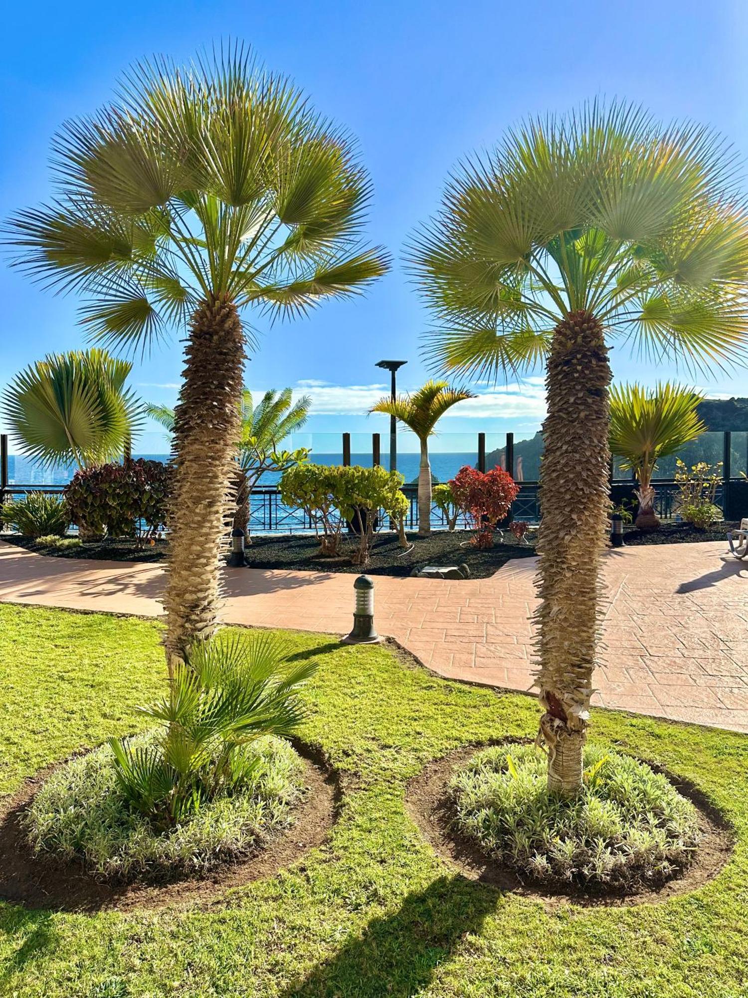 Best4U Nautico Σαν Μιγκέλ ντε Αμπόνα Εξωτερικό φωτογραφία